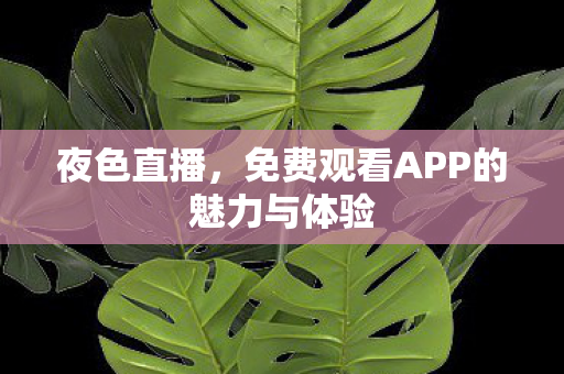 夜色直播，免费观看APP的魅力与体验