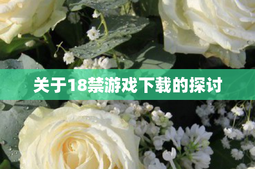 关于18禁游戏下载的探讨