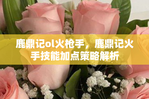 鹿鼎记ol火枪手，鹿鼎记火手技能加点策略解析