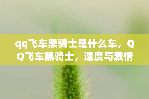 qq飞车黑骑士是什么车，QQ飞车黑骑士，速度与激情的终极体验