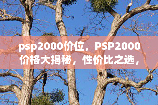 psp2000价位，PSP2000价格大揭秘，性价比之选，还是市场泡沫？