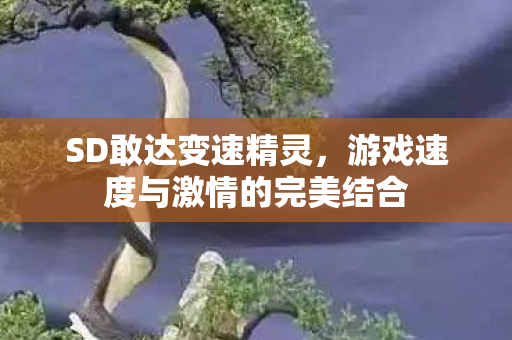 SD敢达变速精灵，游戏速度与激情的完美结合
