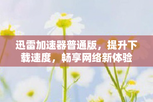 迅雷加速器普通版，提升下载速度，畅享网络新体验