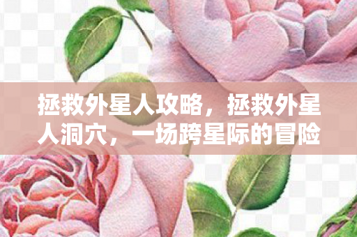 拯救外星人攻略，拯救外星人洞穴，一场跨星际的冒险