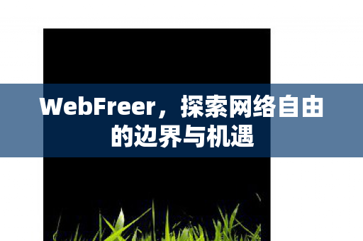 WebFreer，探索网络自由的边界与机遇