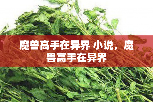 魔兽高手在异界 小说，魔兽高手在异界
