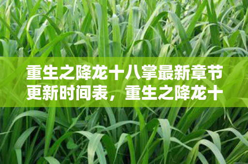重生之降龙十八掌最新章节更新时间表，重生之降龙十八掌，武侠之魂的重生与传承