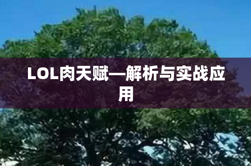 LOL肉天赋—解析与实战应用
