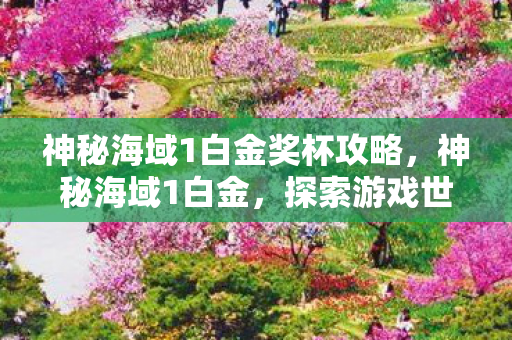 神秘海域1白金奖杯攻略，神秘海域1白金，探索游戏世界的无尽宝藏