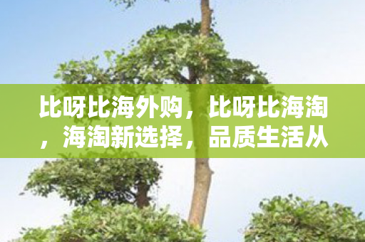 比呀比海外购，比呀比海淘，海淘新选择，品质生活从此开始