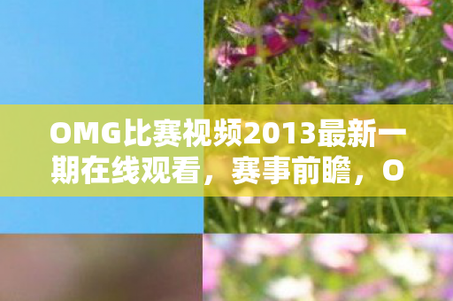 OMG比赛视频2013最新一期在线观看，赛事前瞻，OMG战队，挑战与荣耀的交响曲