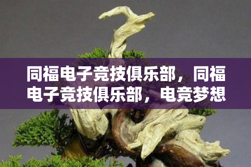 同福电子竞技俱乐部，同福电子竞技俱乐部，电竞梦想与现实的碰撞