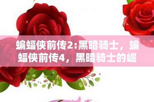 蝙蝠侠前传2:黑暗骑士，蝙蝠侠前传4，黑暗骑士的崛起与传承