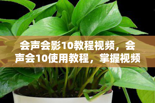 会声会影10教程视频，会声会10使用教程，掌握视频编辑的必备技能