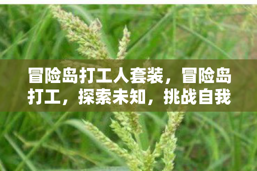 冒险岛打工人套装，冒险岛打工，探索未知，挑战自我