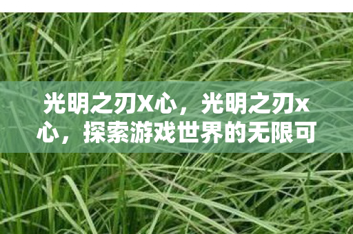 光明之刃X心，光明之刃x心，探索游戏世界的无限可能