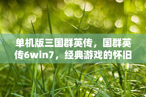 单机版三国群英传，国群英传6win7，经典游戏的怀旧之旅