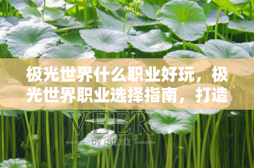 极光世界什么职业好玩，极光世界职业选择指南，打造你的专属传奇
