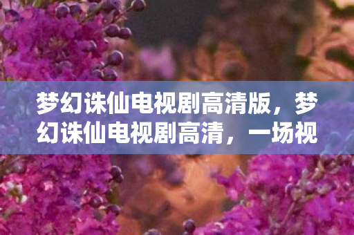 梦幻诛仙电视剧高清版，梦幻诛仙电视剧高清，一场视觉盛宴的极致呈现