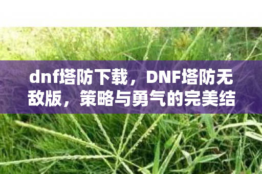 dnf塔防下载，DNF塔防无敌版，策略与勇气的完美结合