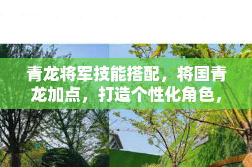 青龙将军技能搭配，将国青龙加点，打造个性化角色，畅游奇幻世界