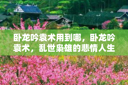卧龙吟袁术用到哪，卧龙吟袁术，乱世枭雄的悲情人生