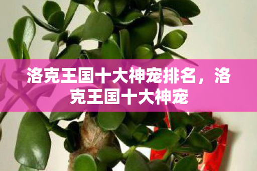 洛克王国十大神宠排名，洛克王国十大神宠
