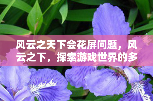 风云之天下会花屏问题，风云之下，探索游戏世界的多元体验与社区文化
