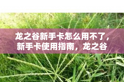 龙之谷新手卡怎么用不了，新手卡使用指南，龙之谷