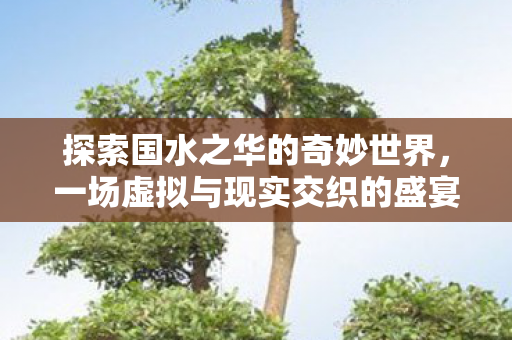 探索国水之华的奇妙世界，一场虚拟与现实交织的盛宴