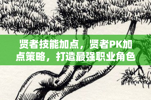 贤者技能加点，贤者PK加点策略，打造最强职业角色