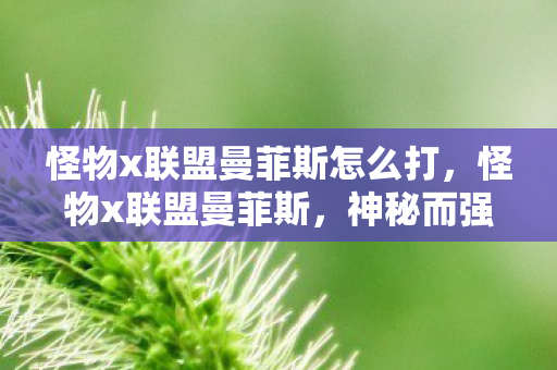 怪物x联盟曼菲斯怎么打，怪物x联盟曼菲斯，神秘而强大的存在