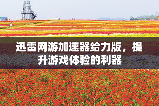 迅雷网游加速器给力版，提升游戏体验的利器