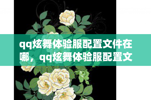 qq炫舞体验服配置文件在哪，qq炫舞体验服配置文件，深度解析与配置优化指南