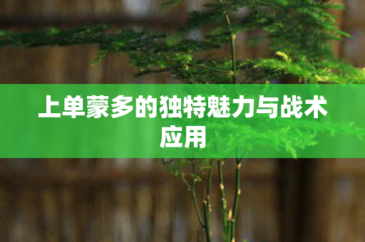 上单蒙多的独特魅力与战术应用 上单蒙多的独特魅力与战术应用
