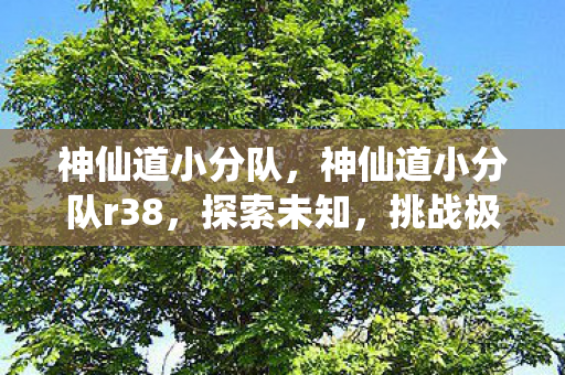神仙道小分队，神仙道小分队r38，探索未知，挑战极限