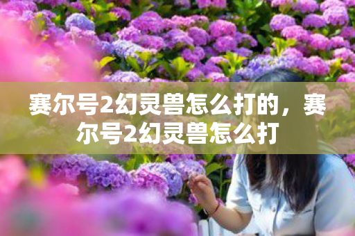 赛尔号2幻灵兽怎么打的，赛尔号2幻灵兽怎么打