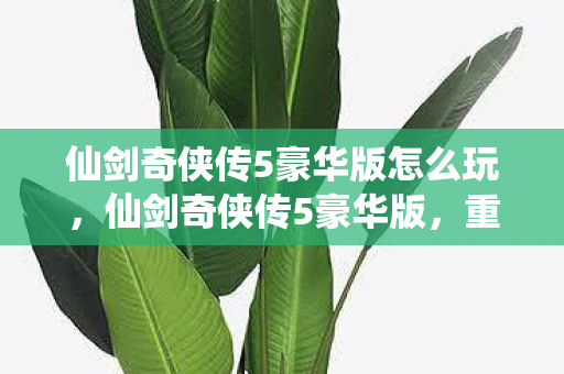 仙剑奇侠传5豪华版怎么玩，仙剑奇侠传5豪华版，重温经典，豪华再临