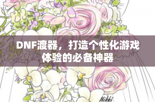 DNF渡器，打造个性化游戏体验的必备神器