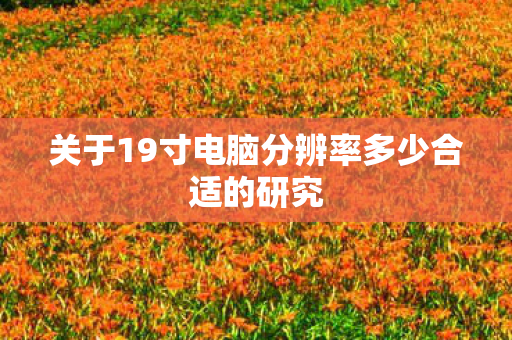 关于19寸电脑分辨率多少合适的研究 关于19寸电脑分辨率多少合适的研究