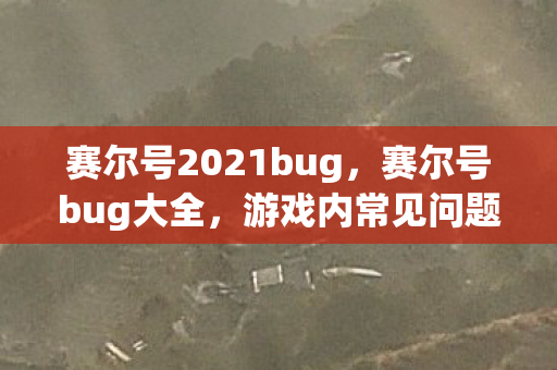 赛尔号2021bug，赛尔号bug大全，游戏内常见问题与解决方案