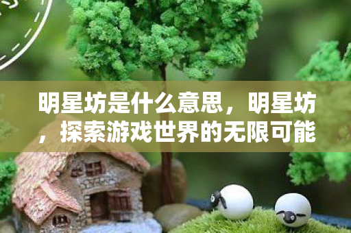 明星坊是什么意思，明星坊，探索游戏世界的无限可能