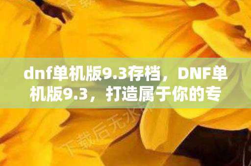 dnf单机版9.3存档，DNF单机版9.3，打造属于你的专属冒险世界