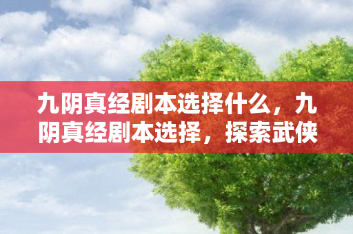 九阴真经剧本选择什么，九阴真经剧本选择，探索武侠世界的深度与广度