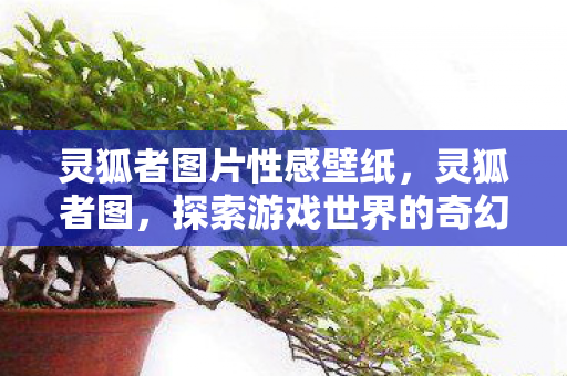 灵狐者图片性感壁纸，灵狐者图，探索游戏世界的奇幻之旅