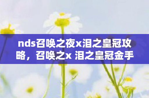 nds召唤之夜x泪之皇冠攻略，召唤之x 泪之皇冠金手指，解锁游戏新境界的神奇工具