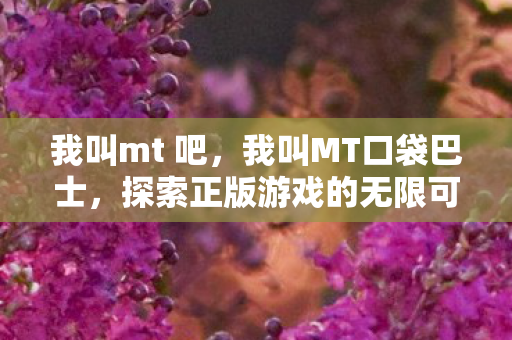 我叫mt 吧，我叫MT口袋巴士，探索正版游戏的无限可能