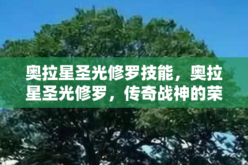 奥拉星圣光修罗技能，奥拉星圣光修罗，传奇战神的荣耀与传奇