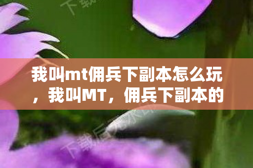 我叫mt佣兵下副本怎么玩，我叫MT，佣兵下副本的奇幻之旅