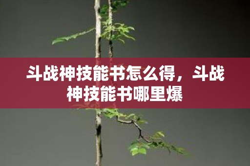 斗战神技能书怎么得，斗战神技能书哪里爆